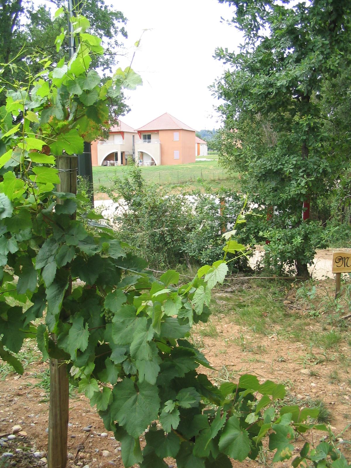 Terres De France - Domaine De Claire Rive 3* Prayssac